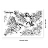 Bird Summer Theme Clear Stamps