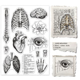 Globleland Human Body, Spine, Brain, Heart, Lungs Stamp Clear Silicone Stamp Seal for Card Making Decoration and DIY Scrapbooking