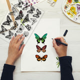 Globleland Realistic Butterfly Clear Silicone Stamp Seal for Card Making Decoration and DIY Scrapbooking