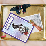 Globleland Custom PVC Plastic Clear Stamps, for DIY Scrapbooking, Photo Album Decorative, Cards Making, Raven, 160x110x3mm