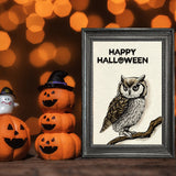 Globleland Halloween Clear Stamps, Broom, Owl, Pumpkin, Skull, Spider Web, Bat Clear Silicone Stamp Seal for Card Making Decoration and DIY Scrapbooking