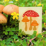 Globleland Mushroom Blessings Clear Silicone Stamp Seal for Card Making Decoration and DIY Scrapbooking