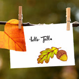 Globleland Autumn, Fallen Leaves, Maple Leaves, Acorns, Hello Clear Silicone Stamp Seal for Card Making Decoration and DIY Scrapbooking