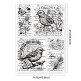 Globleland PVC Stamps, for DIY Scrapbooking, Photo Album Decorative, Cards Making, Stamp Sheets, Film Frame, Bird Pattern, 21x14.8x0.3cm