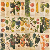 Globleland Fruit Pattern Paper Bookmarks for Office School, Yellow, 150x40x0.5mm, 30pcs/box