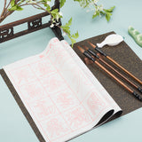 Globleland Writing Tool, with Gridded Magic Cloth Water-Writing, Spoon Shape Ink Tray Containers and Chinese Calligraphy Brushes Pen, White, 43x33x0.01cm