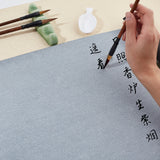 Globleland Gridded Magic Cloth Water-Writing, with Spoon Shape Ink Tray Containers and Chinese Calligraphy Brushes Pen, for Practicing Chinese Calligraphy, White, 679x342x0.1mm