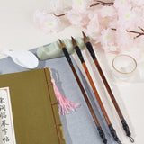Globleland Gridded Magic Cloth Water-Writing, with Spoon Shape Ink Tray Containers and Chinese Calligraphy Brushes Pen, for Practicing Chinese Calligraphy, White, 679x342x0.1mm
