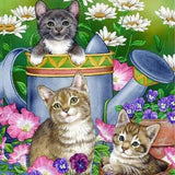Globleland DIY Rectangle Cat Theme Diamond Painting Kits, Including Canvas, Resin Rhinestones, Diamond Sticky Pen, Tray Plate and Glue Clay, Mixed Color, 400x300mm, 2Set/Pack