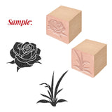 Globleland 2Pc Beechwood Stamps, with 2Pc Resin Stamp Sheet, Square, Scrapbook Accessories, Plants Pattern, 7.5x7.5x2.3cm