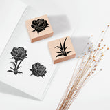Globleland 2Pc Beechwood Stamps, with 2Pc Resin Stamp Sheet, Square, Scrapbook Accessories, Plants Pattern, 7.5x7.5x2.3cm
