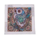 Globleland DIY 5D Owl Pattern Diamond Painting Kits, with Resin Rhinestones, Diamond Sticky Pen, Tray Plate and Glue Clay, 300x300x0.4mm, 2Set/Pack