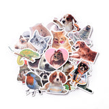 Globleland Waterproof Self Adhesive Paper Stickers, for Suitcase, Skateboard, Refrigerator, Helmet, Mobile Phone Shell, Animal Pattern, 42~74x40~80x0.2mm, about 52pcs/bag, 5bags/set