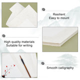 Globleland 20 Sheets 2 Style Chinese Rice Paper Card, Rectangle, Calligraphy Painting Supplies, Mixed Patterns, 27.2~27.3x25~25.1x0.03cm, 10sheets/style