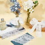 Lace Embroidery Costume Accessories