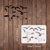 Globleland Plastic Drawing Painting Stencils Templates, Rectangle, Bird Pattern, 297x210mm