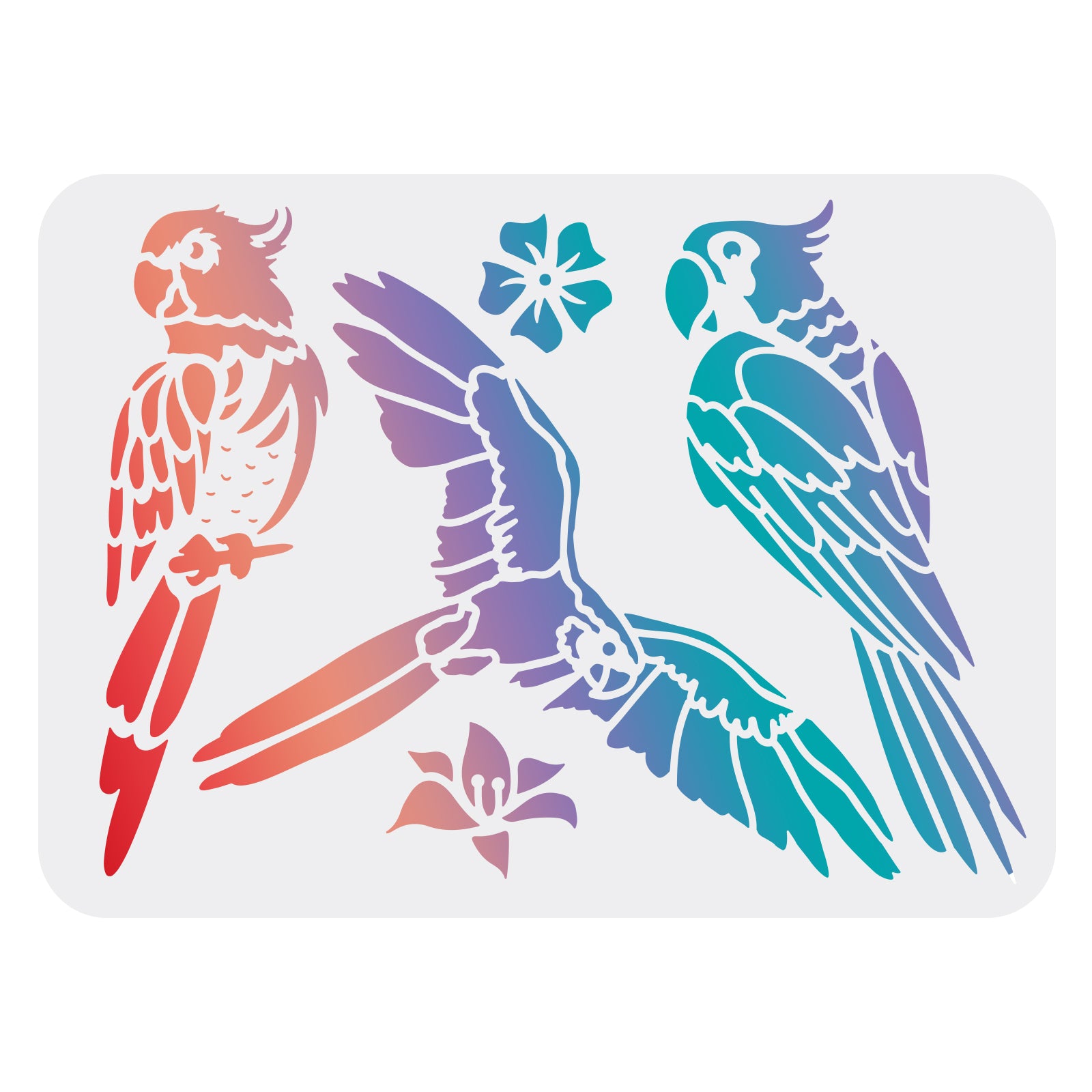 Globleland Plastic Drawing Painting Stencils Templates, Rectangle, Parrot Pattern, 297x210mm