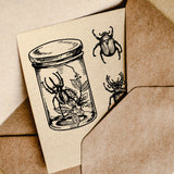 Insects PVC Stamp, 4Pcs/Set