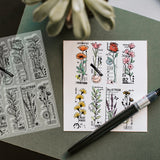 Mixed Shapes Clear Stamps
