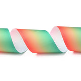 Gradient Rainbow Polyester Ribbon