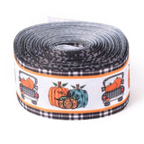 2 Roll Autumn Theme Polyester Grosgrain Ribbon, Single Face Printed Pattern, for DIY Handmade Craft, Festival Party, Gift Decoration , Pumpkin Pattern, 1-1/2 inch(38mm), 10 yards/roll(9.14m/roll)