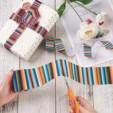 2 Rolls 2 Styles Stripe Pattern Printed Polyester Grosgrain Ribbon