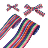 2 Rolls 2 Style Stripe Pattern Printed Polyester Grosgrain Ribbon