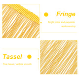 Polyester Latin Fringe Lace