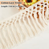 Cotton Lace Trims