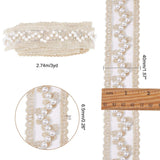Mesh Embroidered Lace Trim