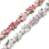 1 Set 4 Yards 2 Colors Polyester Lace Trim, Flower, Mixed Color, 13.5~14mm,  2 yards/color