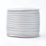 21 Strand Nylon Ribbons, Herringbone Weave Ribbon, Gray, 1 inch(25mm), about 2m/strand