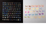 Globleland 2 Bags 2 Styles Butterfly PET Self Adhesive Laser Stickers Sets, Waterproof Decals for DIY Scrapbooking, Photo Album Decoration, Mixed Color, 38~66x47~69x0.1mm, 1 bag/style