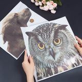 Globleland 2 Sheets 2 Style Owl & Dog Plastic Waterproof Car Window Stickers, Perforated Self-adhesive Decals for Car Windows Decorations, Mixed Patterns, 235x310x0.3mm and 310x305x0.3mm, 1 Sheet/style