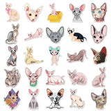 Globleland PVC Self Adhesive Hairless Cat Stickers Sets, Waterproof Cute Cat Decals for Suitcase, Skateboard, Refrigerator, Helmet, Mobile Phone Shell, Cat Pattern, 55~85mm, 50pcs/bag