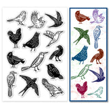 Bird Clear Stamps